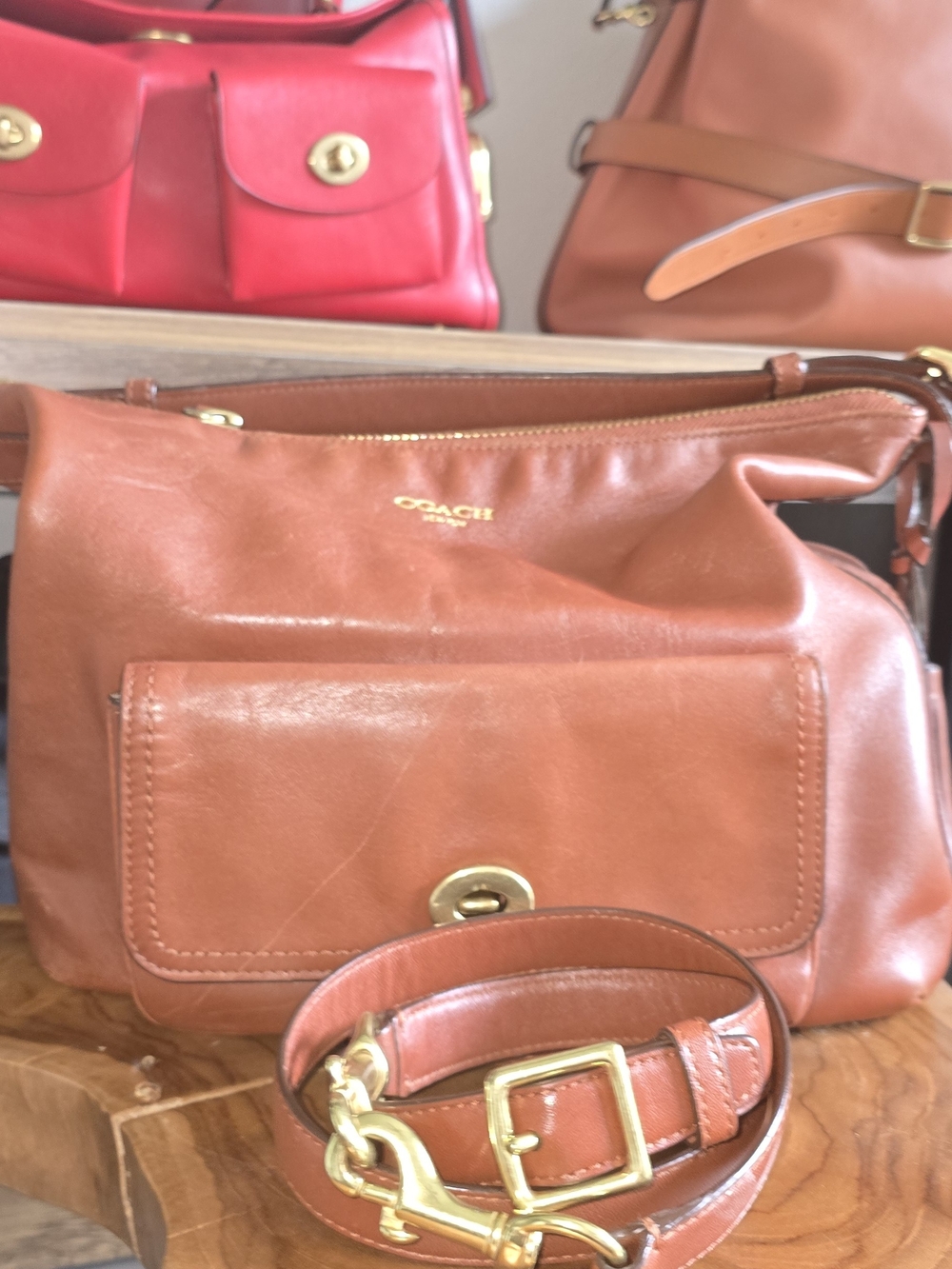 Coach Leather Crossbody Bag in Brown